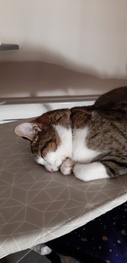 2019-10-06 22-21-03.jpeg